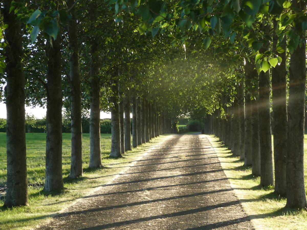 Tall Trees Glamping Baltonsborough Exterior foto